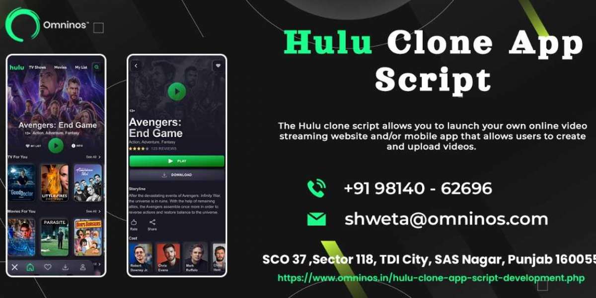 Hulu clone development company
