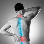 Realign Spine Profile Picture